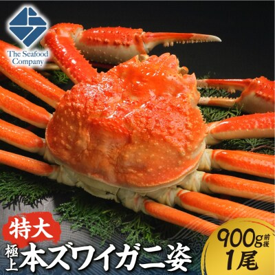 極上!特大本ズワイ蟹の姿　本ズワイ蟹　900g　1尾_hs408-087