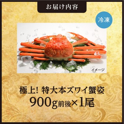 極上!特大本ズワイ蟹の姿　本ズワイ蟹　900g　1尾_hs408-087