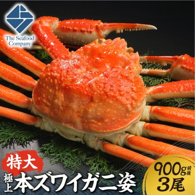 極上!特大本ズワイ蟹の姿　本ズワイ蟹　900g　3尾_hs408-088