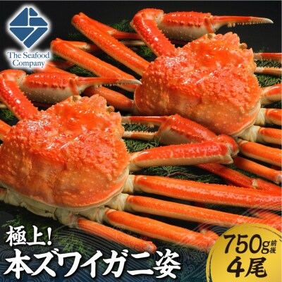 極上!本ズワイ蟹の姿　750g　4尾_hs408-091