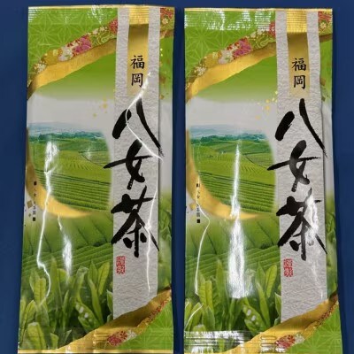 【定期便6回】八女茶　煎茶セット　100g×2袋