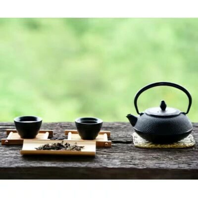 【定期便6回】八女茶　煎茶セット　100g×2袋
