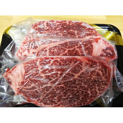 氷温(R)熟成　黒毛和牛ヒレステーキ　300g(水上村)