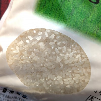 人吉球磨産　ひのひかり　5kg×2(計10kg)