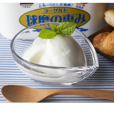 球磨の恵みヨーグルト(無糖)(6kgセット)