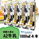球磨の恵みA2牛乳　1000ml　4本(水上村)