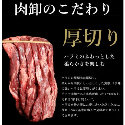 厚切り牛ハラミステーキ&厚切り牛タン　合計1kg(水上村)