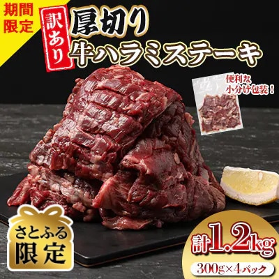 【さとふる限定】【期間限定第二弾】　牛ハラミステーキ　1.2kg(300g×4P)(水上村)