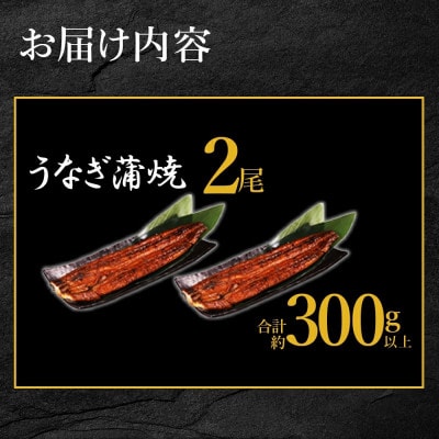 寄郎屋の炭火焼き　うなぎ　かば焼き　2尾　合計約300g(水上村)