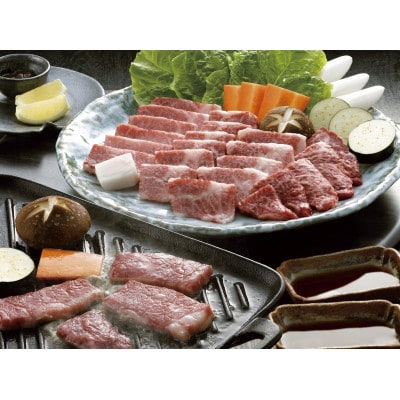 GI　くまもとあか牛　特選焼肉　500g(水上村)