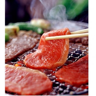 GI　くまもとあか牛　焼肉　500g(水上村)
