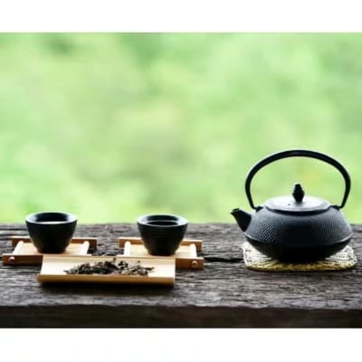 【定期便12回】八女茶　煎茶セット　100g×2袋