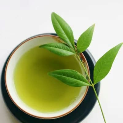 【定期便12回】八女茶　煎茶セット　100g×2袋