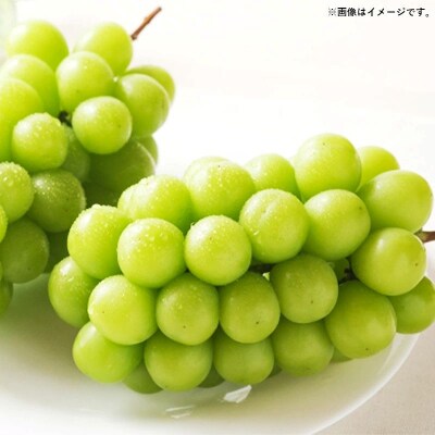 【朝倉産】シャインマスカット 約2kg(3～6房)