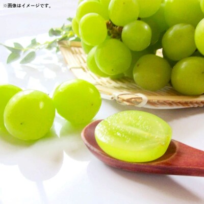 【朝倉産】シャインマスカット 約2kg(3～6房)
