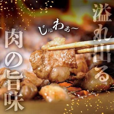 松阪牛 味付 トロトロ ホルモン SS109