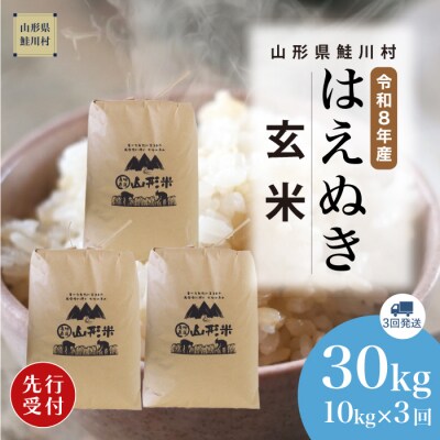 ＜8年産米先行受付＞令和9年2月上旬発送開始 はえぬき【玄米】30kg (3回定期便)　鮭川村