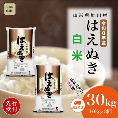 ＜8年産米先行受付＞令和9年3月下旬発送開始 はえぬき【白米】30kg(3回定期便)　鮭川村