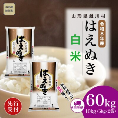 ＜8年産米先行受付＞令和8年12月中旬発送開始 はえぬき【白米】60kg(6回定期便)　鮭川村