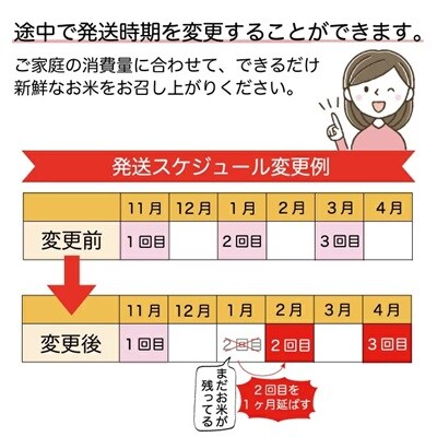 ＜8年産米先行受付＞令和8年11月下旬発送開始 はえぬき【無洗米】60kg(3回定期便)　鮭川村