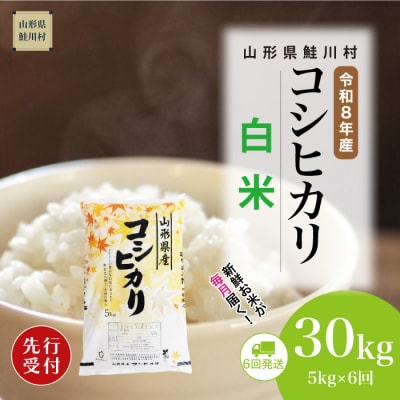 ＜8年産米先行受付＞令和8年11月下旬発送開始 こしひかり【白米】30kg(6回定期便)　鮭川村