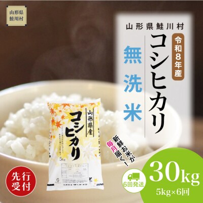 ＜8年産米先行受付＞令和9年2月下旬発送開始 こしひかり【無洗米】30kg(6回定期便)　鮭川村