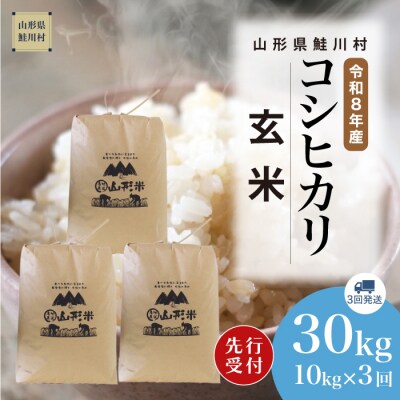 ＜8年産米先行受付＞令和9年2月中旬発送開始 こしひかり【玄米】30kg (3回定期便)　鮭川村