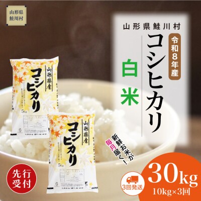 ＜8年産米先行受付＞令和8年12月下旬発送開始 こしひかり【白米】30kg(3回定期便)　鮭川村