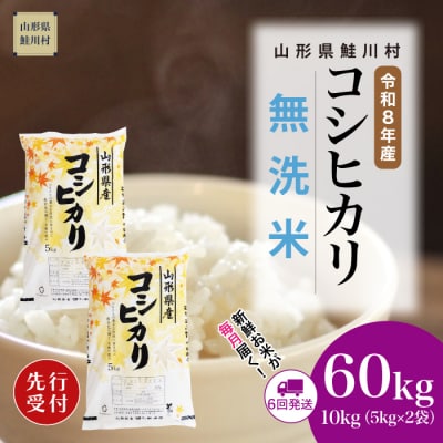 ＜8年産米先行受付＞令和9年3月下旬発送開始 こしひかり【無洗米】60kg(6回定期便)　鮭川村