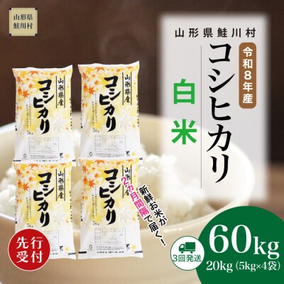 ＜8年産米先行受付＞令和9年3月中旬発送開始 こしひかり【白米】60kg(3回定期便)　鮭川村
