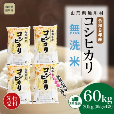 ＜8年産米先行受付＞令和8年12月中旬発送開始 こしひかり【無洗米】60kg(3回定期便)　鮭川村