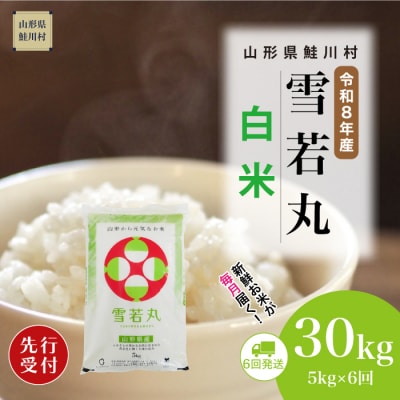 ＜8年産米先行受付＞令和9年1月中旬発送開始 雪若丸【白米】30kg(6回定期便)　鮭川村