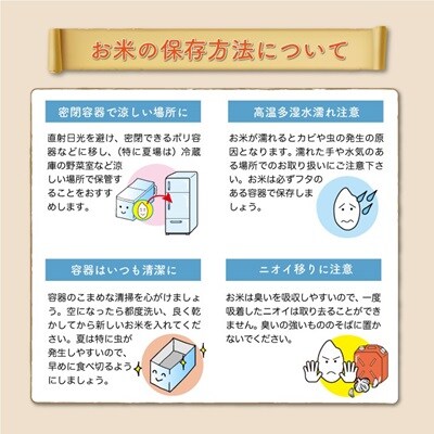 ＜8年産米先行受付＞令和8年12月下旬発送　雪若丸【玄米】30kg (15kg×2袋) 　鮭川村