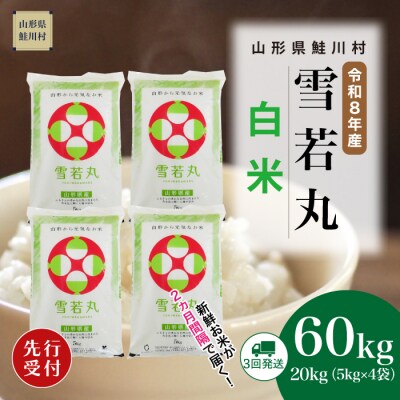 ＜8年産米先行受付＞令和9年2月下旬発送開始 雪若丸【白米】60kg(3回定期便)　鮭川村