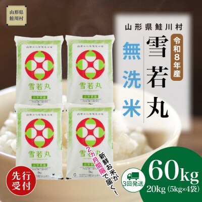 ＜8年産米先行受付＞令和9年2月中旬発送開始 雪若丸【無洗米】60kg(3回定期便)　鮭川村