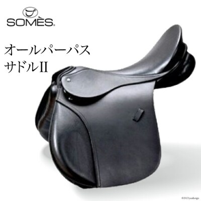 SOMES　Reiz　オールパーパスサドル2 ブラック [ソメスサドル 砂川市 12260054] 