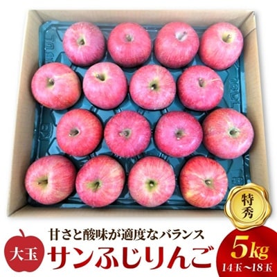 りんご(サンふじ)5kg　14～18玉　特秀品　0056-2632