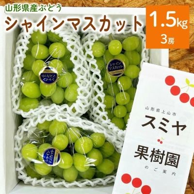 ぶどう(シャインマスカット)1.5kg(房小さめ)　0047-2614