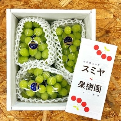 シャインマスカット　3房　合計1.8kg　特秀品・化粧箱入り　0047-2615