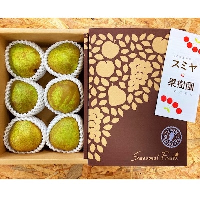 西洋梨(ラフランス)4kg(2kg×2箱)特秀品　0047-2616