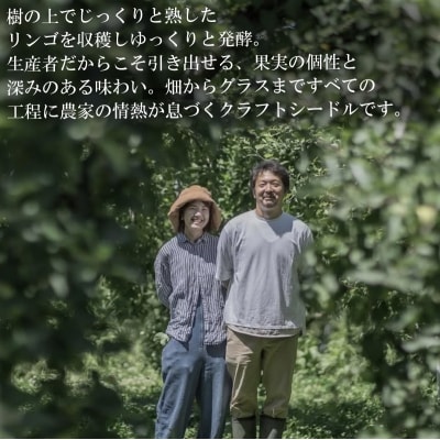 リンゴのシードル2本セット*269