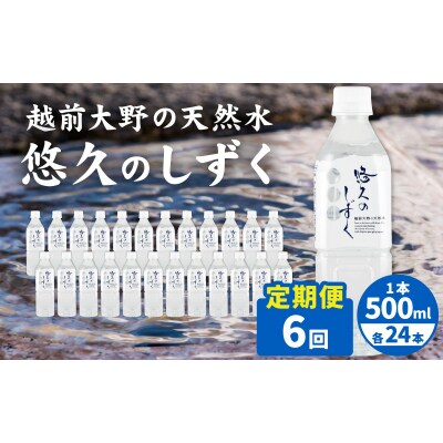 【6ヶ月連続お届け】越前大野の天然水　悠久のしずく PET500ml × 24本×6回配送計144本