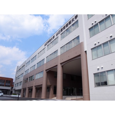 山口芸術短期大学支援事業(教育研究・人材育成・地域貢献活動への支援)山口県山口市 学生応援 K031