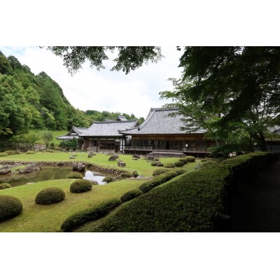 常栄寺庭園保存整備事業 K006