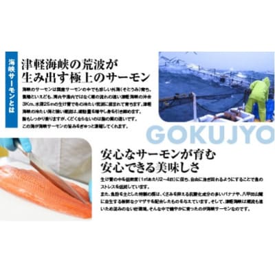 【期間限定発送】海峡サーモン船上活〆3.0kg1本 (冷蔵)