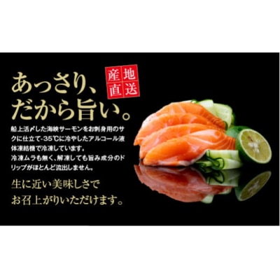 【期間限定発送】海峡サーモン 活〆お刺身さくと中おちセット