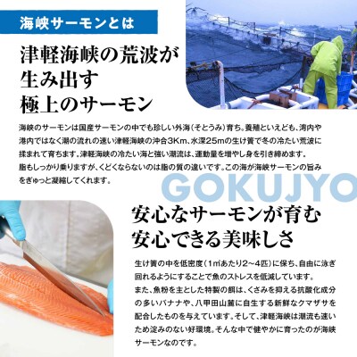 【期間限定発送】海峡サーモン特選切身セット8切(4種8点)