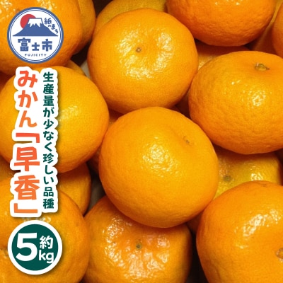 みかん「早香」5kg