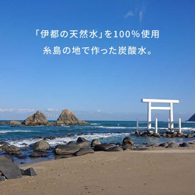 【全12回定期便】強炭酸水 1.5L×8本  糸島市/スターナイン 炭酸水  [ARM008]
