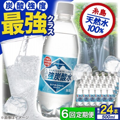 【全6回定期便】強炭酸水 プレーン 500ml × 24本  糸島市/スターナイン[ARM010]